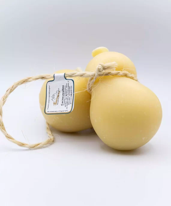 Caciocavallini